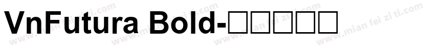 VnFutura Bold字体转换